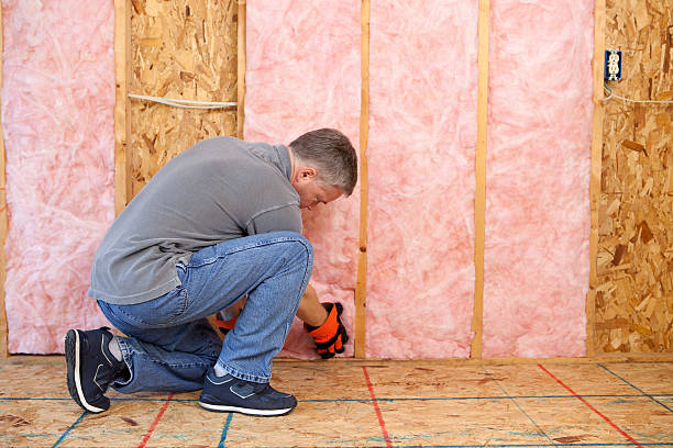 Best DIY Insulation Kits and Guidance in Vanceburg, KY